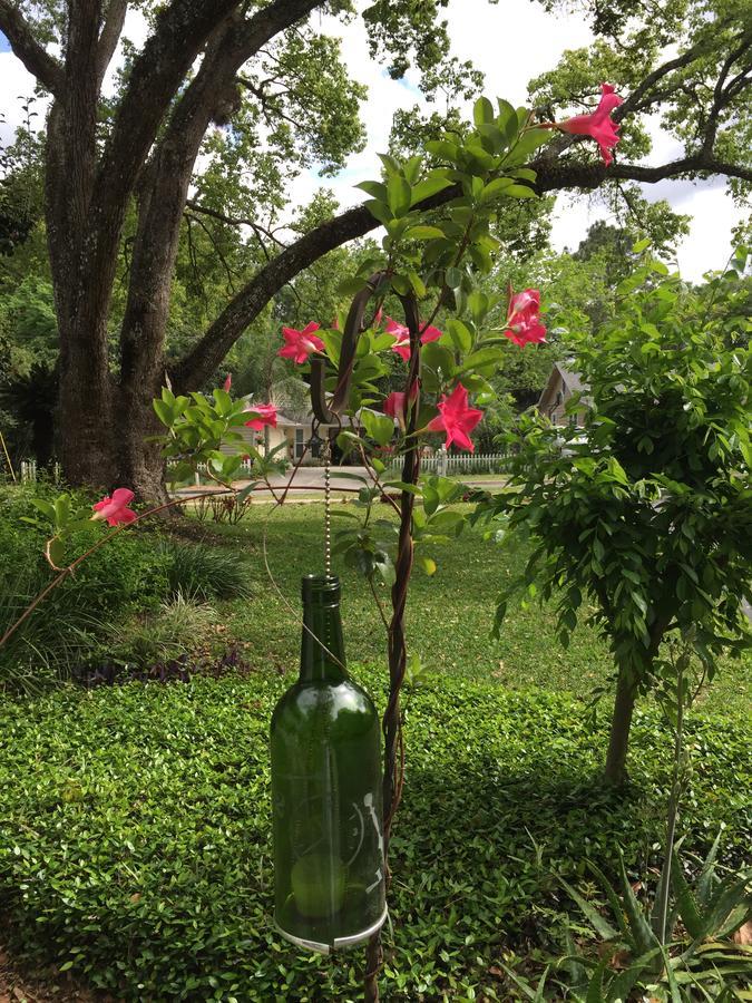 Farnsworth House Bed And Breakfast Mount Dora Bagian luar foto